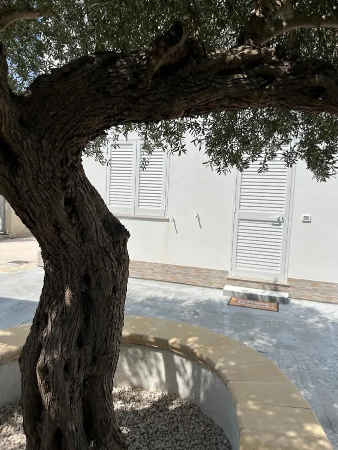 Appartamento - Isola Di Mothia Marsala